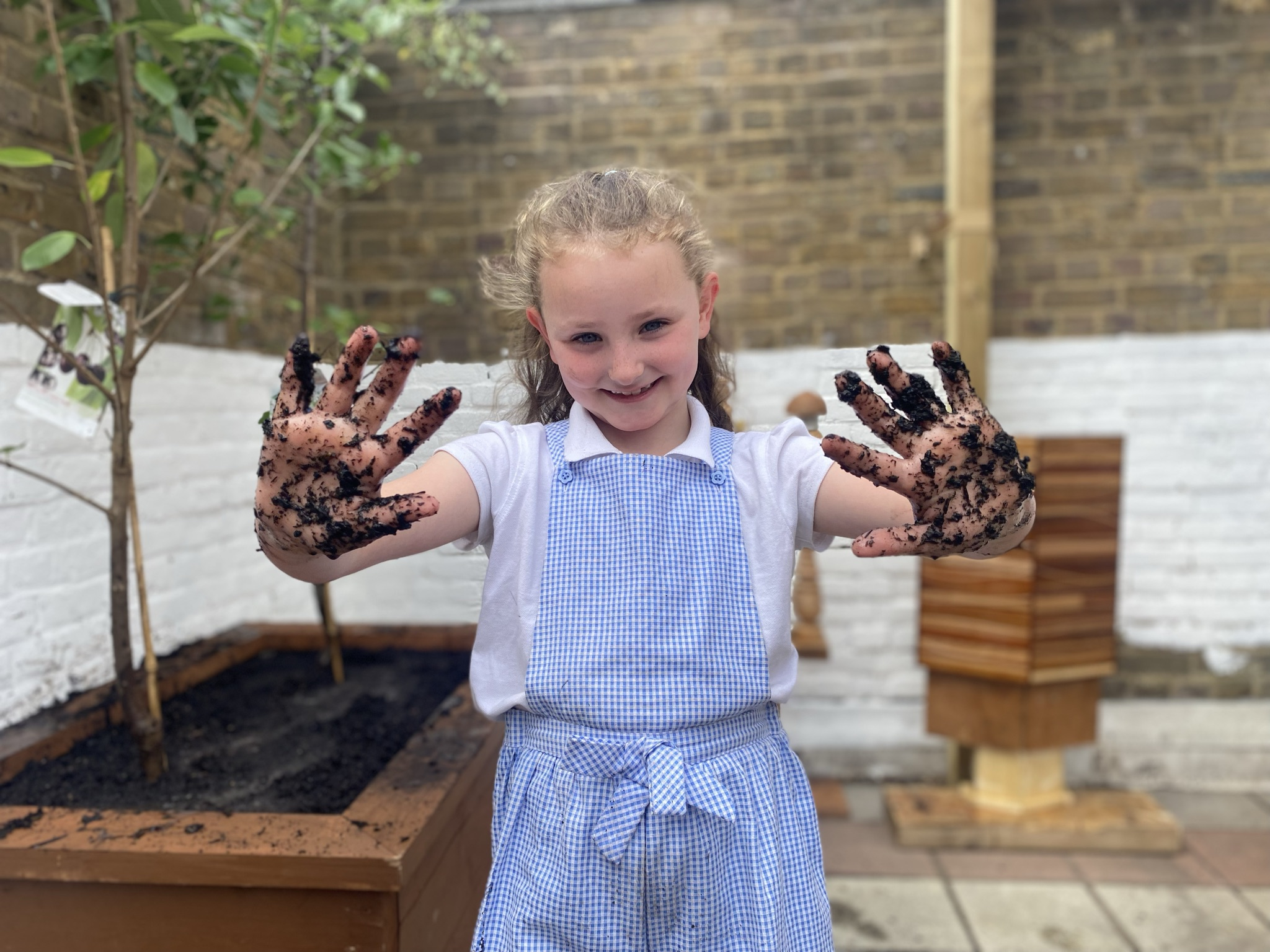 Veolia Orchard scheme in action