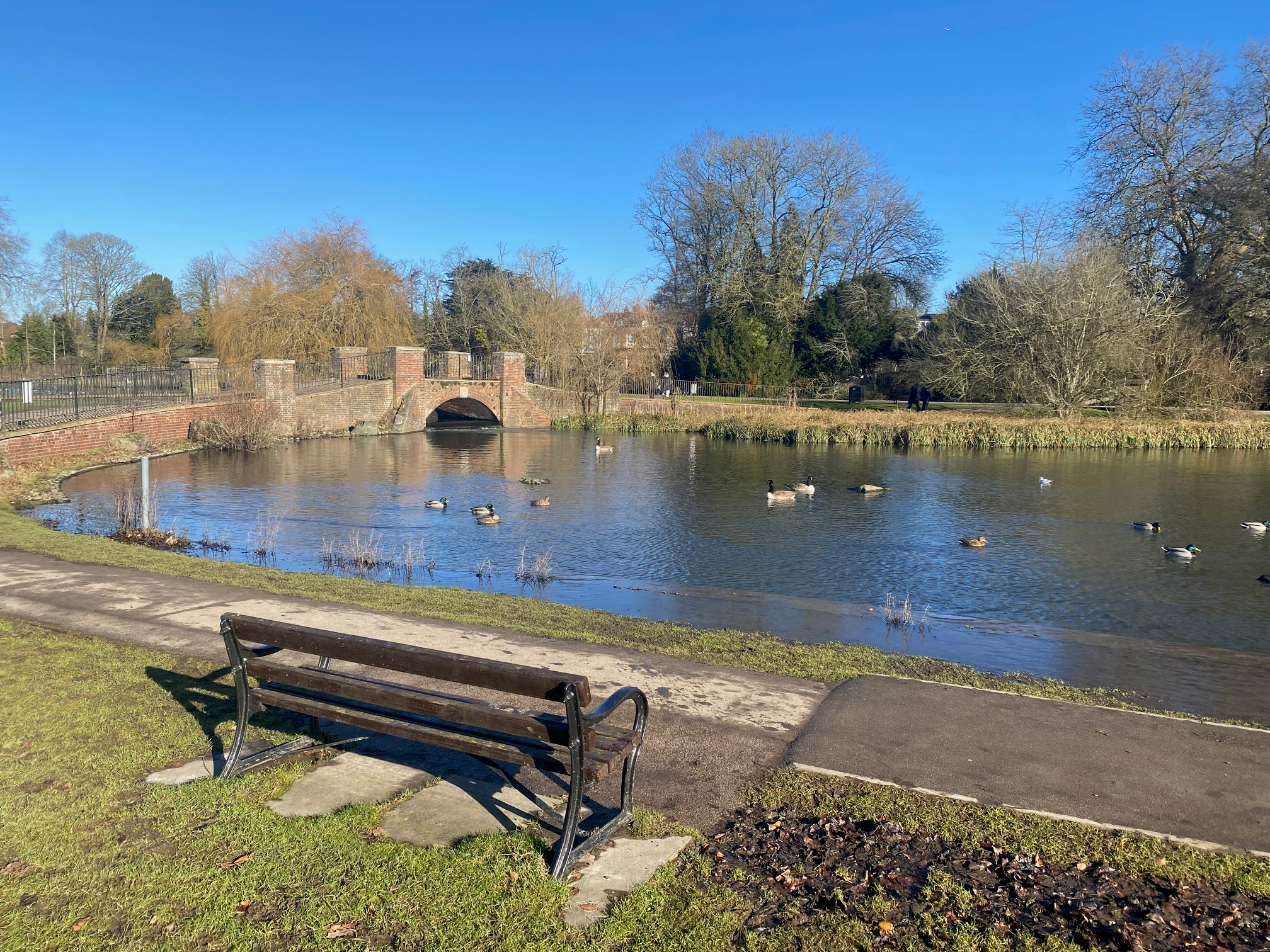 Verulamium Park