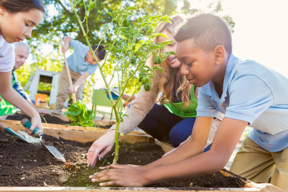 Children planting into a raised flower bed 