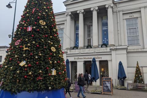 St Albans Museum and Gallery with Christmas Tree in Foreground.