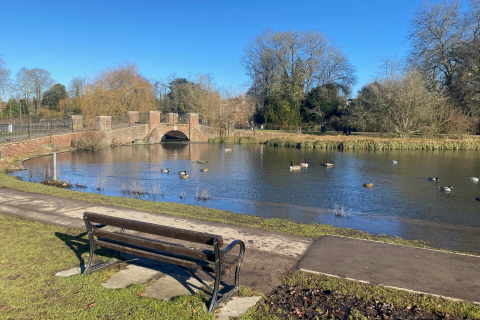 Verulamium Park