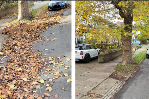 Leaf clearance in St Albans